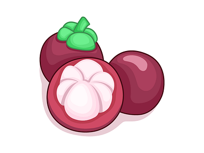 Vector illustration 「Mangosteen」 mangosteen vector