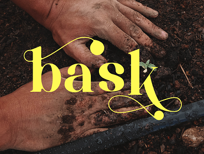 Bask | Brand Identity Project brandidentity branding logo logoconstruction milennials plantbrand plantbranding seeds slowlife slowliving typography