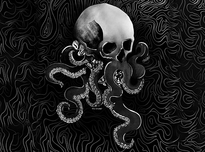 Octopus animal blackwork draw illustration octopus