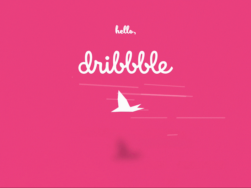 Hello Dribbble Bird 3d animation css transition
