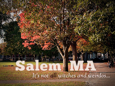 Salem, MA autumn chunkfive common massachusetts salem sorts mill goudy trees