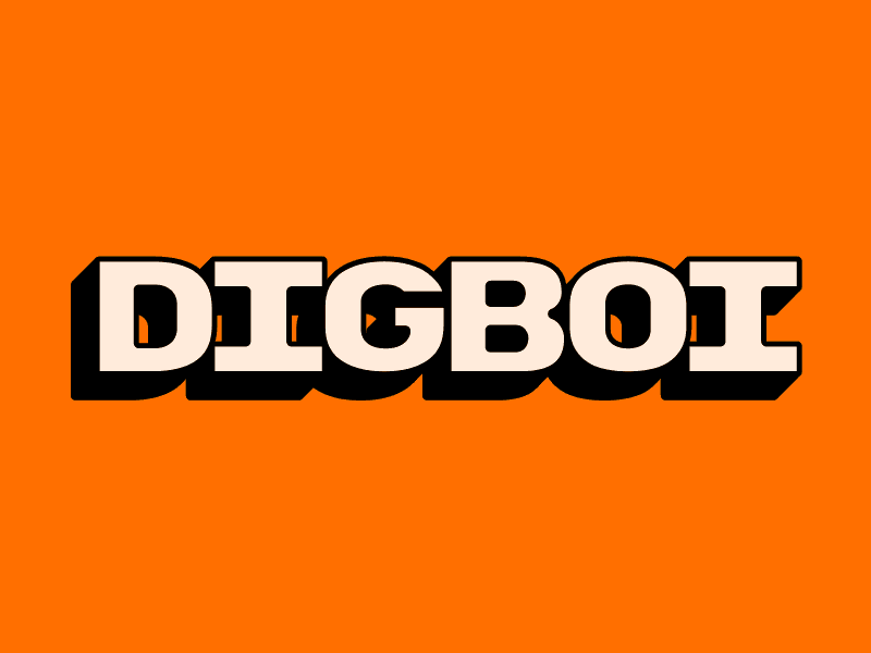 Digboi Represent! assam bold type digboi display type flat flickering lights gif happiness hometown india motiontype retro tribute typography web