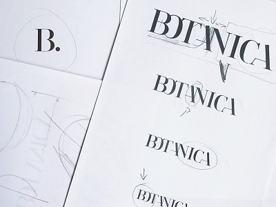 Process botanica brand identity serif typography branding inspiration visual identity