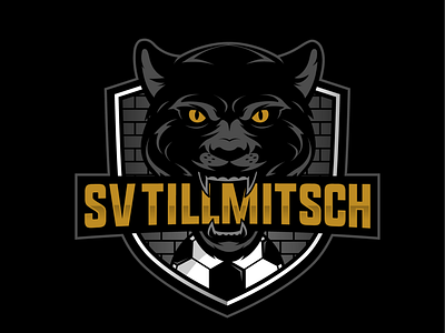 SV Tillmitsch