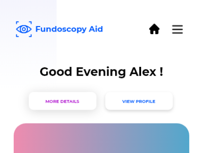 Fundoscopy Aid - Final Year Project