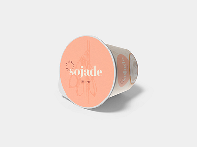 Yogurt packaging design packaging rebranding soja soy yogurt