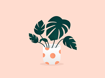 Monstera 🌿 botanical botanical illustration design illustration illustrator monstera plant plant illustration ui vector