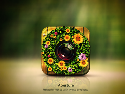 Aperture IOS Icon aperture app apple green icon ios iphone note wood