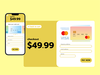 DAY2 - Credit card checkout page