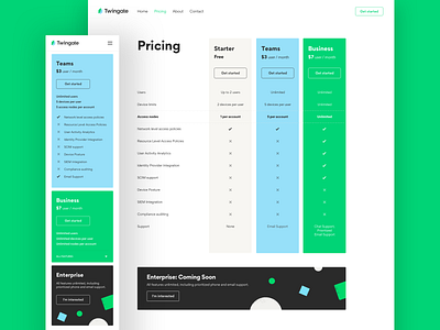 Twingate Website: Pricing Page layout pricing pricing page responsive website vpn web design
