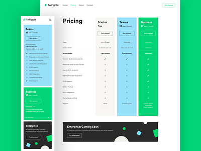 Twingate Website: Pricing Page