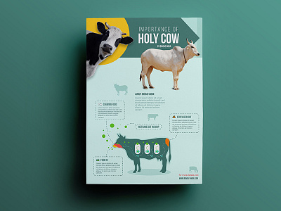 Holy Cow character cool cow design flat flyer graphic illustration infographics modern print social event