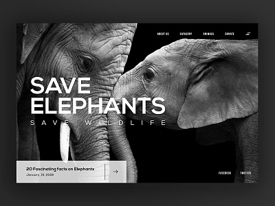 Save Wildlife - Concept landing Page