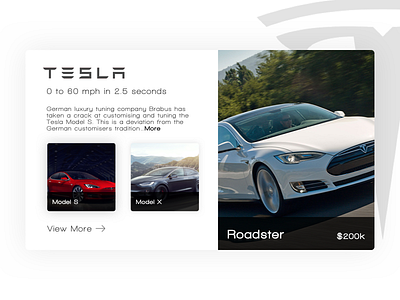 Tesla Concept Page concept tesla user interface