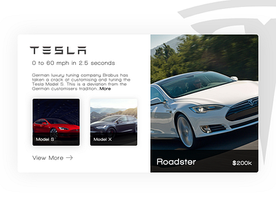 Tesla Concept Page