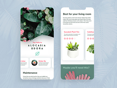 Plantica app application branding clean concept design flower flowers ios iphonex plants white
