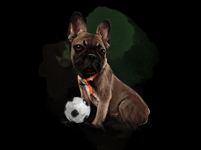 Lil puppy bulldog dog football french bulldog illustration photoshop player portrait socker