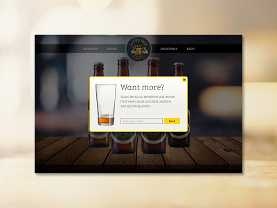 Newsletter Pop-Up beer brewery daily ui 016 popup ui web