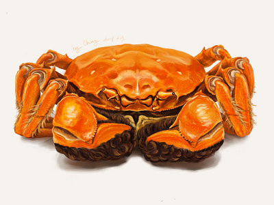 Hairy crabs crabs hairy illustration