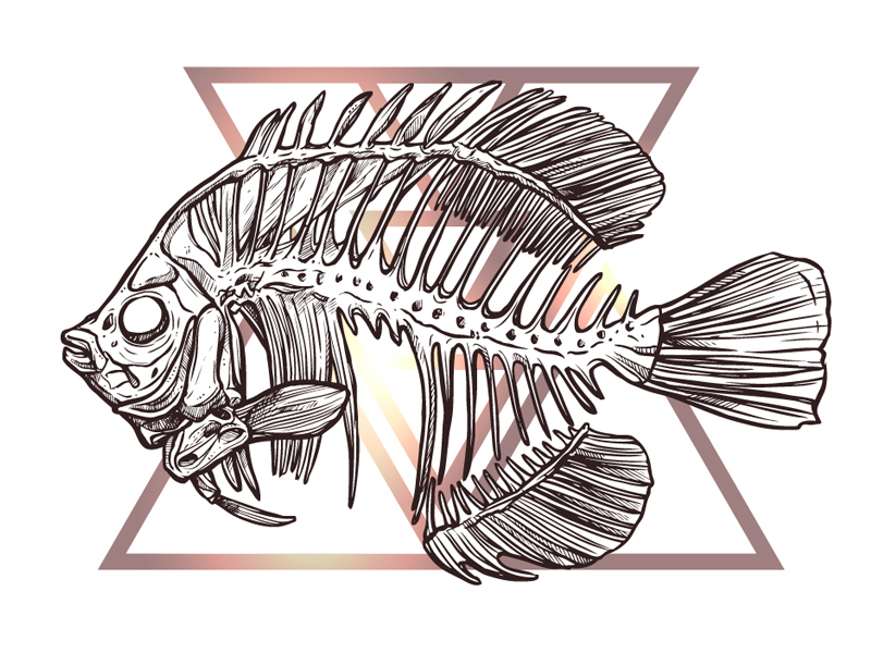 Fish Skeleton by Alex Kost on Dribbble