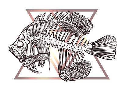 fish skull drawing