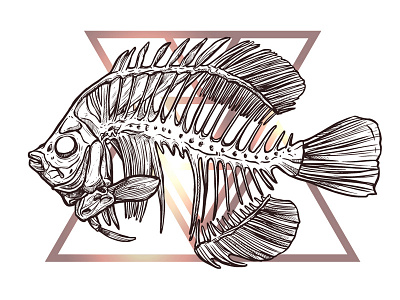 Fish Skeleton dead drawing fish graphic illustration nature skeleton