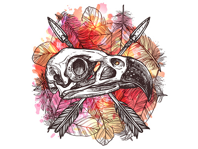 Eagle Skull. Nature Morte