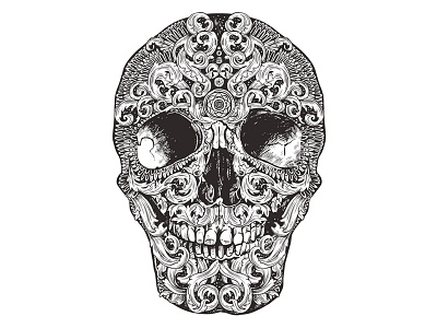 Skull bone dead death drawing graphic hand drawn human illustration ornamental sketch skull