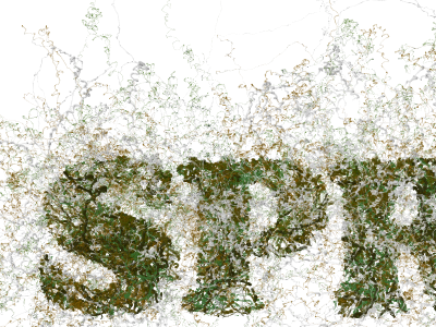 Spread: Generative Typography code flash generative nature typography