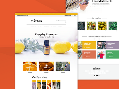 UX Shopify Template Design