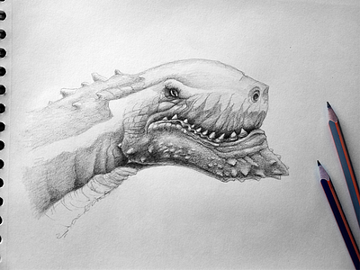 Dragon Head creature dragon drawing fantasy pencil sketching