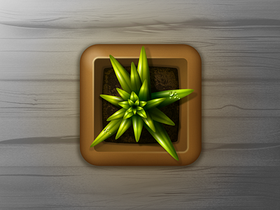 Succulent in flowerpot iOS icon flower flowerpot icon illustration vector