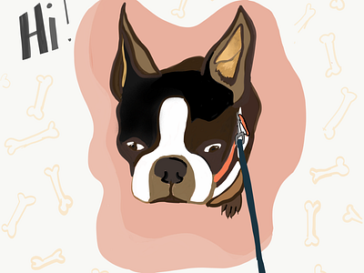 Homeboy Pooch adobe sketch bostonterrier cutie digital illustration dog doggy illustration ipadpro pooch small dog