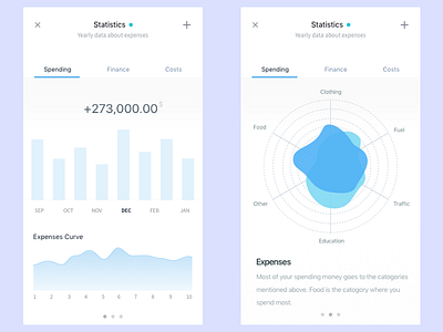 Statistics App app costs finance flat minimal spends statistics