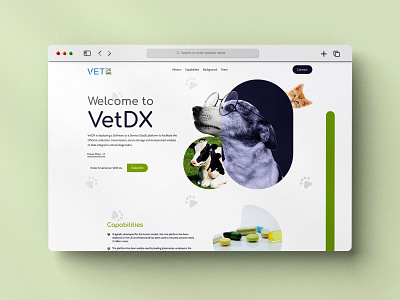 VetDX website design animal branding design graphic design modern trendy ui unique ux vet website website design