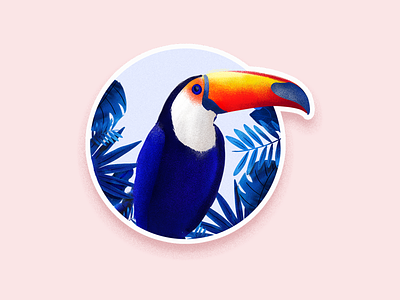 tucan cards dashboard illustration interface minimal product typography ui ux