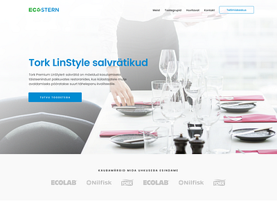 Ecostern clean cleaning company estonia minimal ui web webdesign wordpress