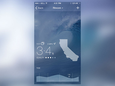 Surf Report graphs interface interface design ios ios7 iphone mobile reports