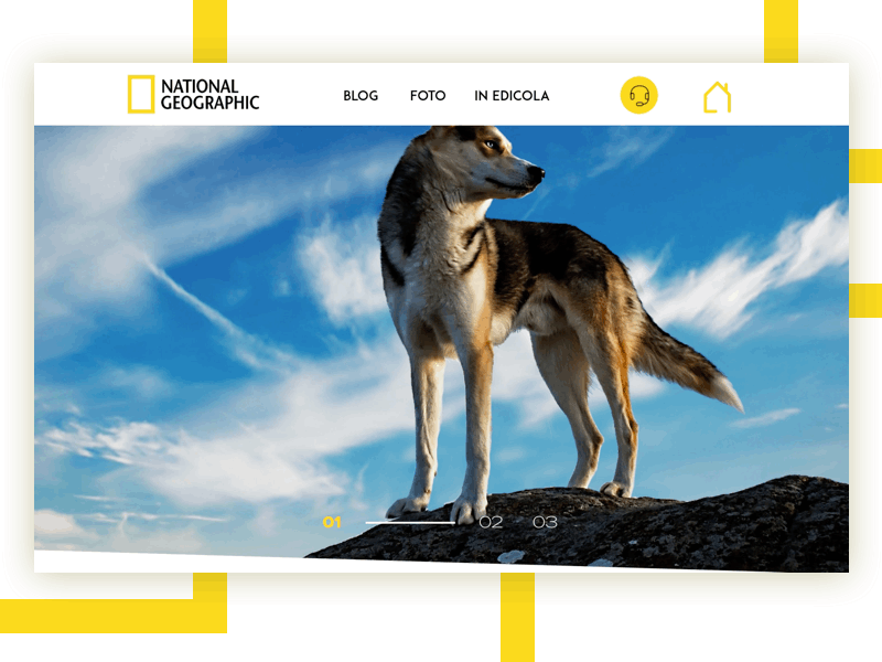 National Geographic - Landing animal concept desktop gif interaction interactive national geographic nature parallax photography principle prototype scroll animation ui ux yellow