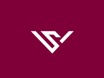 letter logo || VS Logo