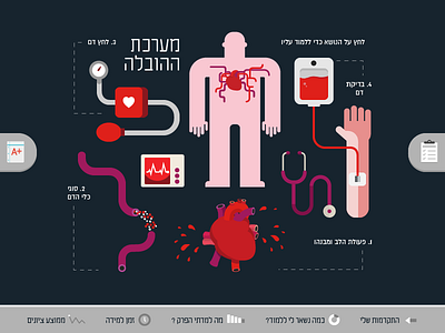 One Hundred Project biology blood exam heart human body