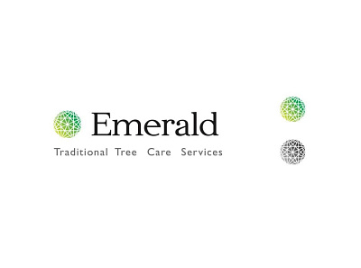 Emerald Tree Care Services - Quality Stone – Concept 1 branding logo logo design logodesign