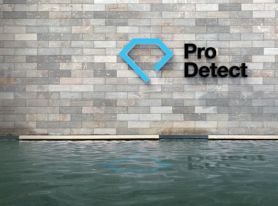 Pro Detect Logo - Concept 3 branding logo logo design