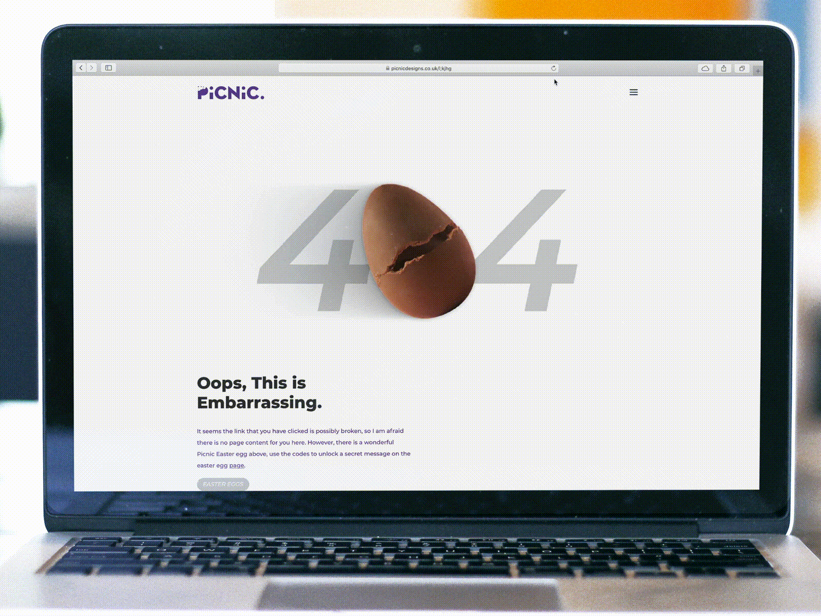 Picnic 404 Page