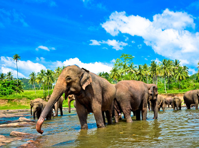 Holidays To Kerala holiday destinations in india travel