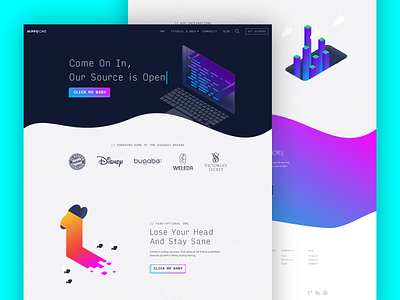 Hippo CMS Landing Page branding cms colorful documentation homepage illustration landing page saas ui website