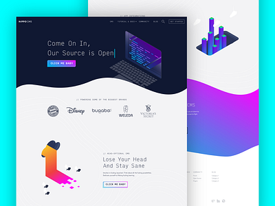 Hippo CMS Landing Page