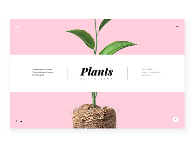 Main Page experience green pink plant ui user