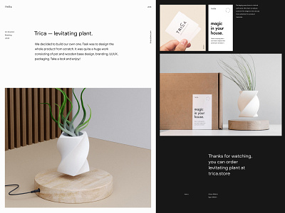 Trica — Levitating Plant decor features grid home layout levitation minimal clean plant product