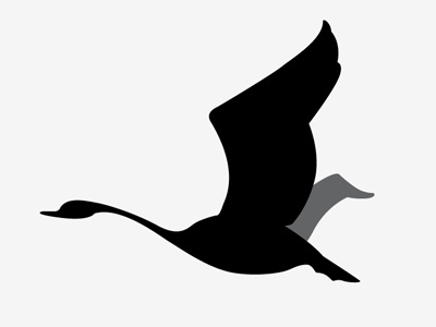 Flying design illustration logo